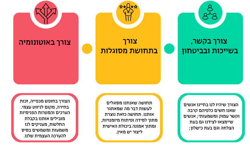 דיאגרמה המסבירה סיפוק צרכים בסייסים לשם הגברת מוטיבציה פנימית