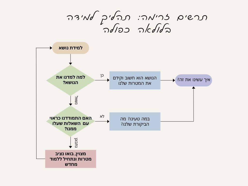 תרשים זרימה: תהליך למידה בלולאה כפולה