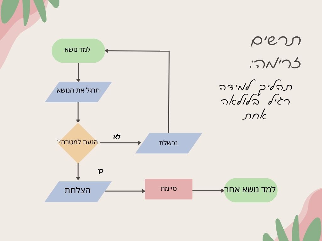 תרשים זרימה :תהליך למידה רגיל בלולאה אחת