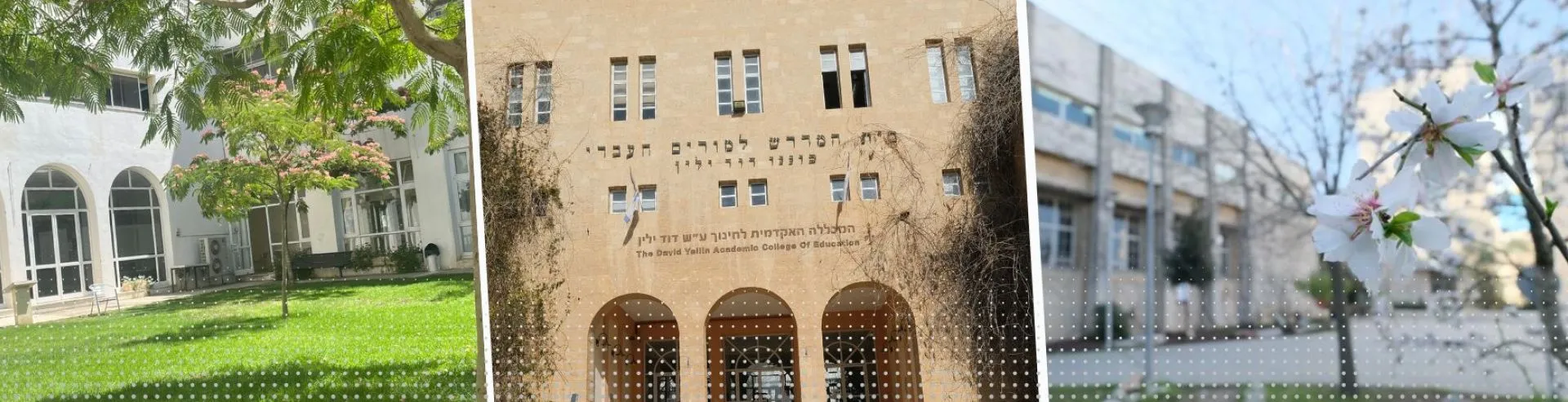 הצהרת נגישות
