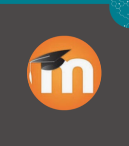 לוגו של מודל