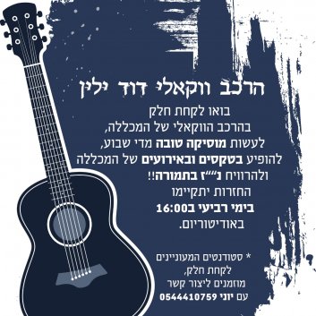 הרכב מוסיקלי דוד ילין