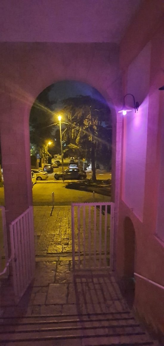 דוד ילין בסגול 1