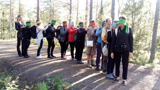 פעילות נוספת ביער בפינלנד